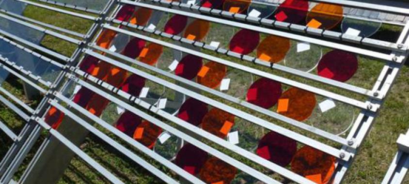 Q-Lab_Standards_ASTM-G7