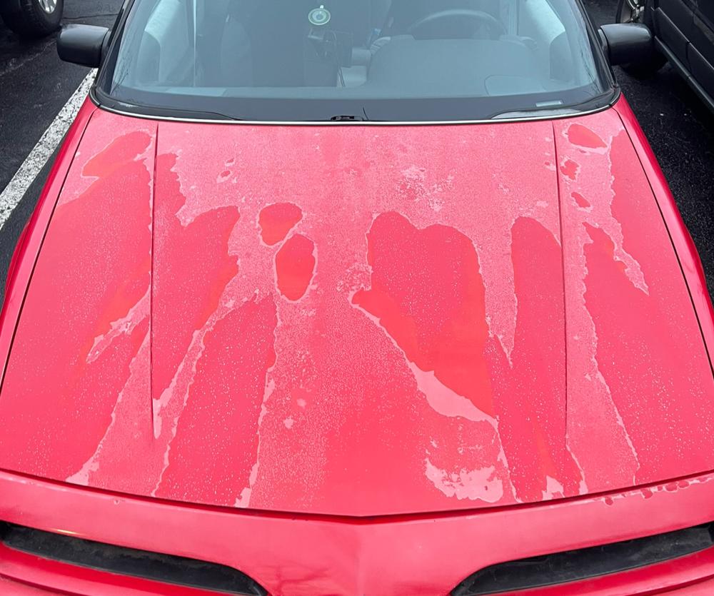 Q-Lab_ISO-16474-2_AutoPaintsCoatings