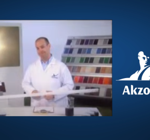 Akzo Nobel Interview